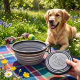 Collapsible Silicone Pet Bowl – 300ml