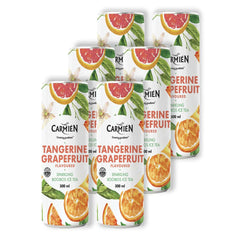 Sparkling Ice Tea Tangerine Grapefruit Shrink each 300ml (6 Pack)