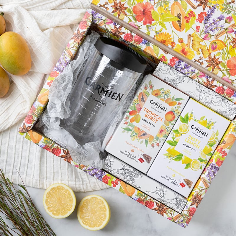 Gift Box Pyramids Tea-On-The-Go (Tropical Burst and Zesty Lemon)